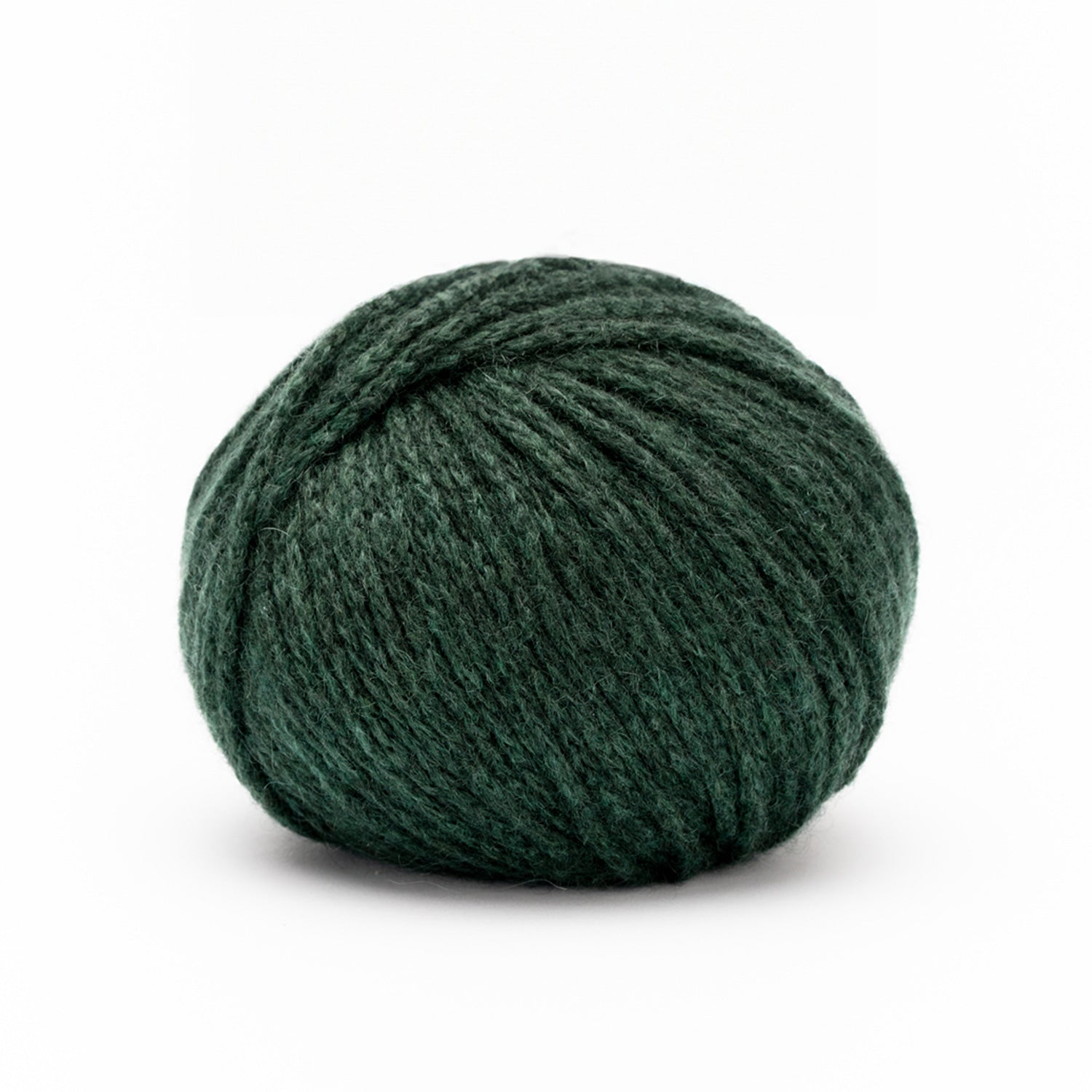 CASHMERE DELIZIA von PASCUALI