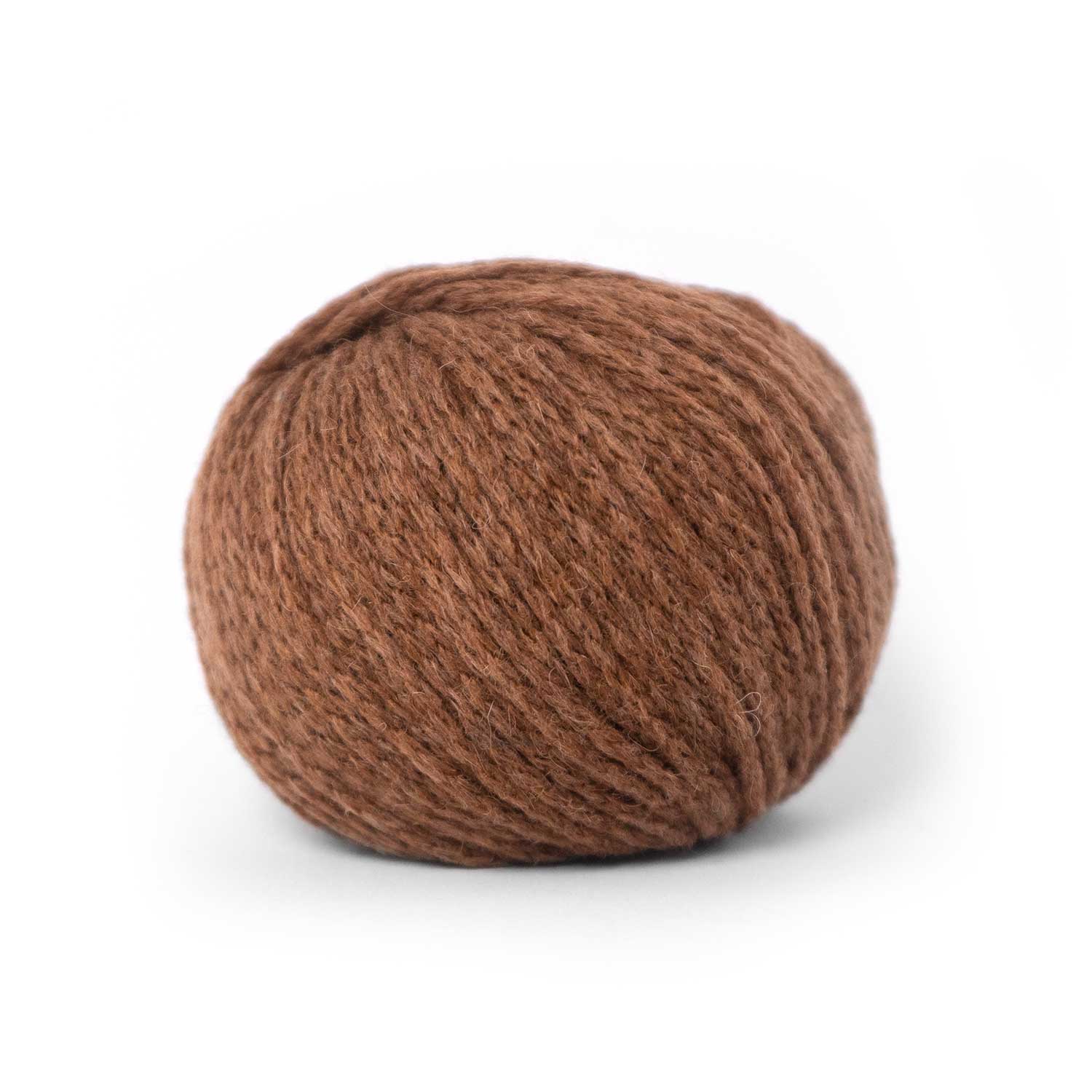 CAMEL DK von PASCUALI