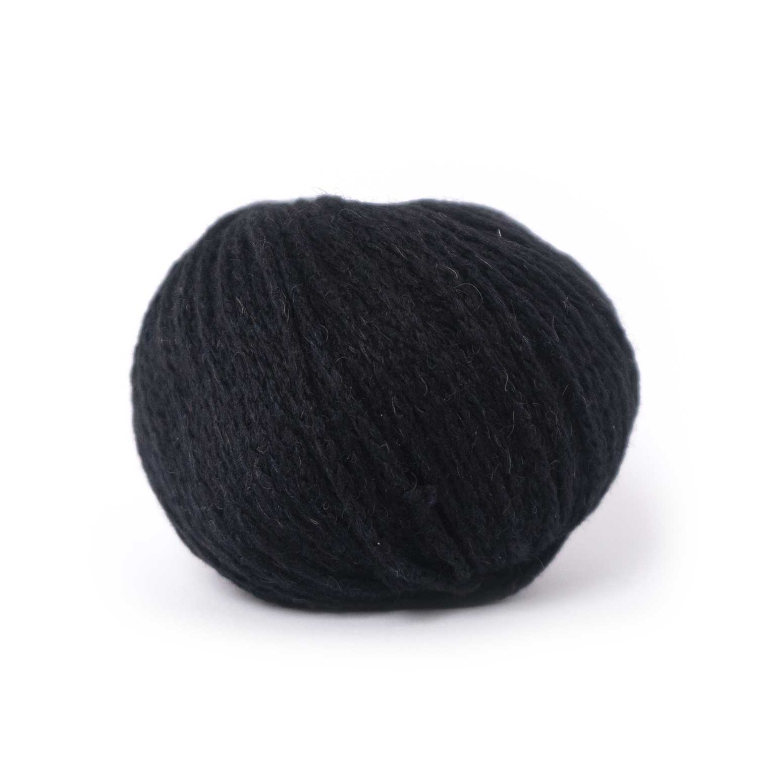 CAMEL DK von PASCUALI