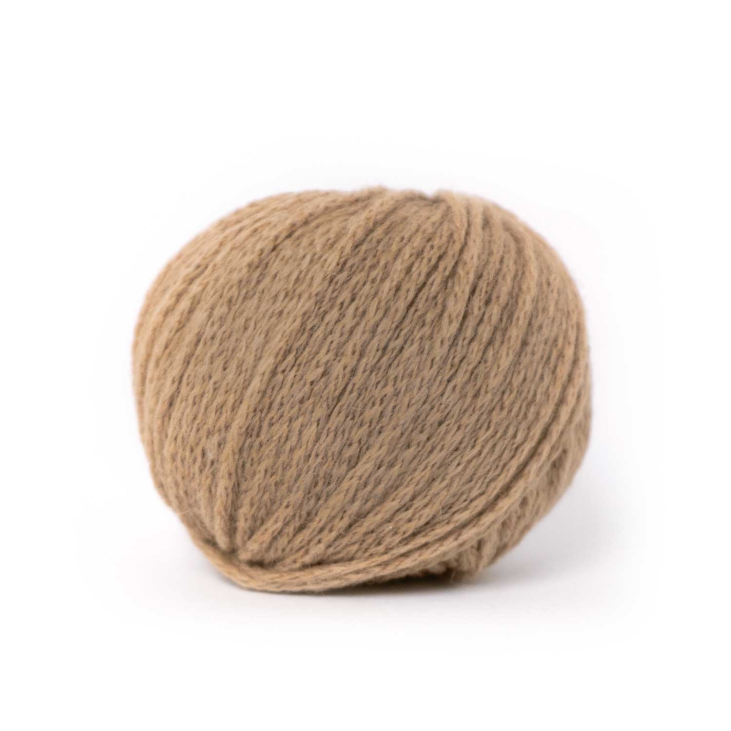 CAMEL DK von PASCUALI