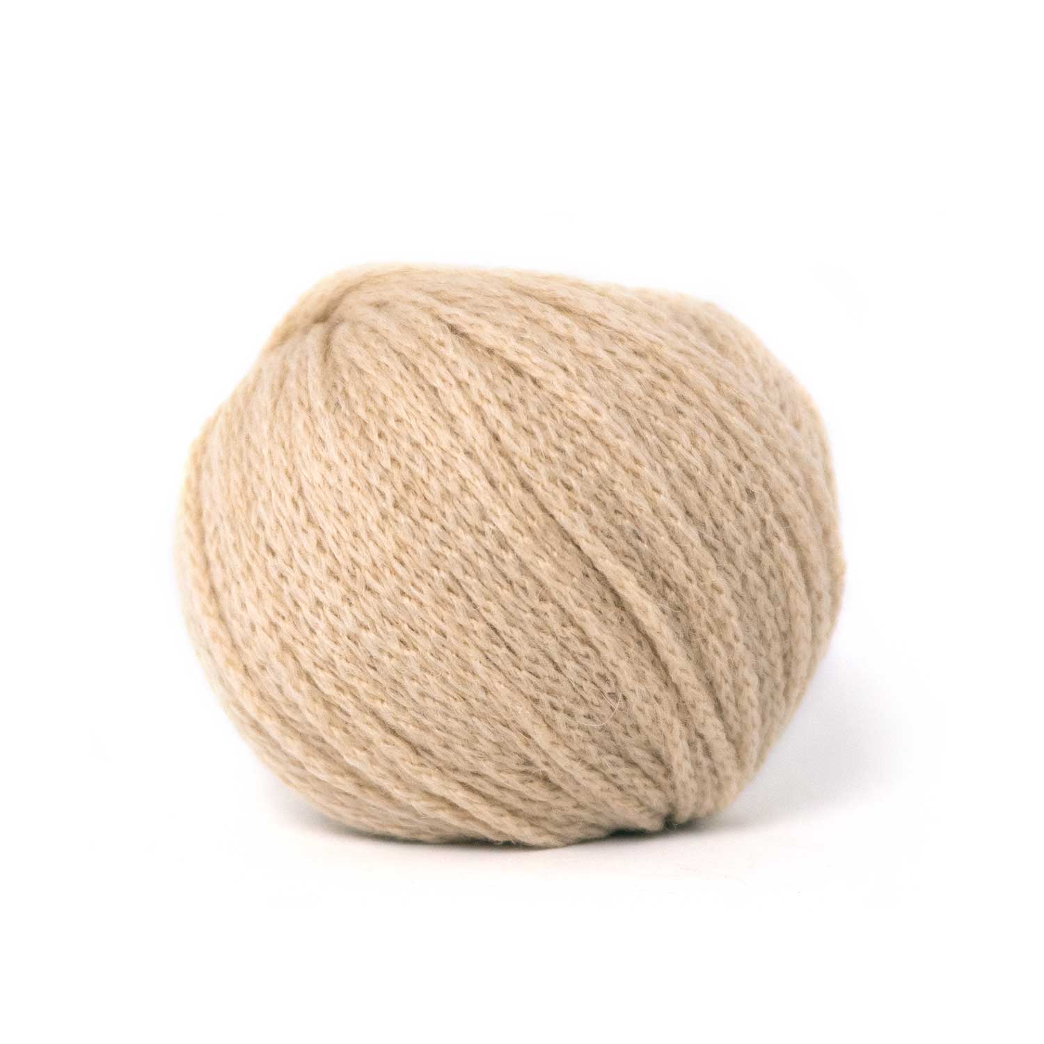 CAMEL DK von PASCUALI